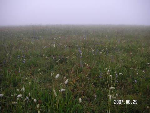 s_PICT0513.jpg
